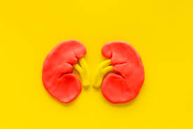 Pour l'hépatite a c à transmission hydrique mais mieux vaut etre guéri avant de donner son sang. Donner Un Rein A Un Proche Peut Lui Sauver La Vie