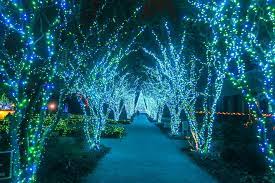 Holiday Lights At Atlanta Botanical Gardens Atlanta Botanical Garden Holiday Lights Botanical Gardens