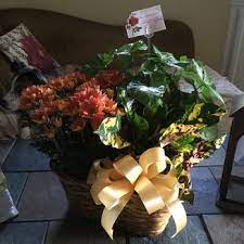 Maybe you would like to learn more about one of these? Flowers By Janice 12 Reviews Florists 6609 Jefferson Hwy Harahan La Phone Number Products Yelp