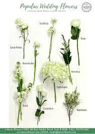 What are popular wedding flowers. Our Process J Morris Flowers