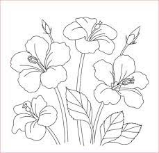Sketsa bunga dapat digambar dengan menggunakan pensil 2b. 30 Gambar Sketsa Bunga Mudah Bunga Matahari Mawar Tulip Sakura Teratai Sepatu Melati Dll Seni Budayaku