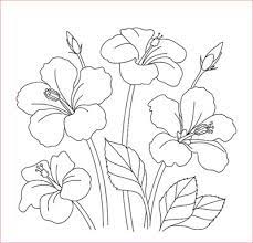 Check spelling or type a new query. 30 Gambar Sketsa Bunga Mudah Bunga Matahari Mawar Tulip Sakura Teratai Sepatu Melati Dll Seni Budayaku