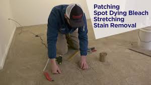 With children, pets and those random spills and drips i like to start by tackling the individual spots and stains first, followed by a general carpet cleaning. Save Carpets Money Protect Your Budgets With Everready 24 7
