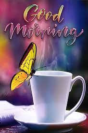 Explore and share the best good morning gifs and most popular animated gifs here on giphy. Mimi Gif Good Morning Good Morning Smiley Good Morning Wishes Gif Good Morning Greetings