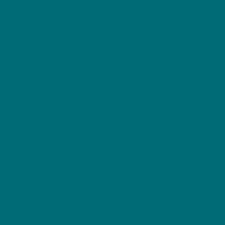 2054 30 Venezuelan Sea Paint Color