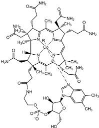 Vitamin b12 consists of a large ring structure similar to porphyrin with a cobalt atom in its centre. Molecular Structure Of Vitamin B12 Download Scientific Diagram