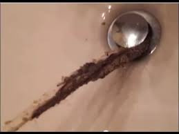 gross than boys hair clogged drain