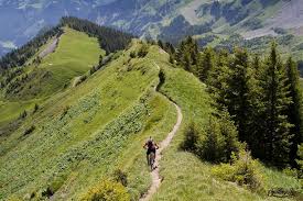 Pass Portes Du Soleil Switzerland Freeride Mountain Bike Mountain Biking Travel