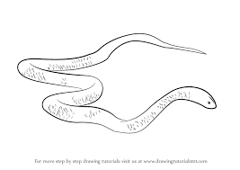 This starts to act more as a snake, but it does not have a base length yet. Learn How To Draw A King Brown Snake Snakes Step By Step Drawing Tutorials