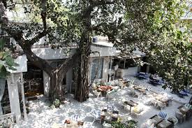 menu for olive bar & kitchen, mehrauli