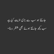 Pin on sad diaries sad shayari