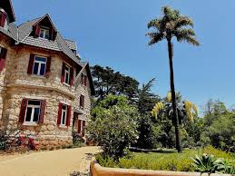 Image result for Ficalhoa