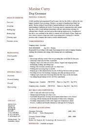 Dog Groomer Resume Example Cv Template Pet Salon You Can Get The Fully Editable Microsoft Word Version Retail Resume Retail Resume Examples Manager Resume