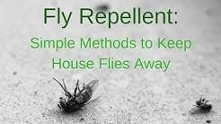 Įmonės rest easy pest control veiklos vieta: Rest Easy Pest Control Youtube
