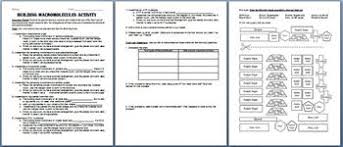 Biochemistry Tests For Food Macromolecules Lipid Building Macromolecules Lab Activity Notes And Review Questions Macromolecules Lab Activities Middle School Science Lab