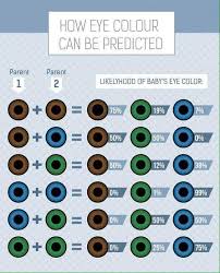 Eye Color Eye Color Chart Eye Color Chart Genetics Eye