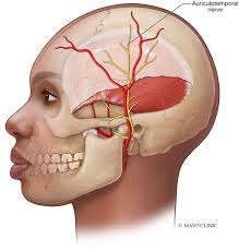 Image result for Ear Nerve Block