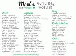 first year baby food chart by food momshealthyhandbook com