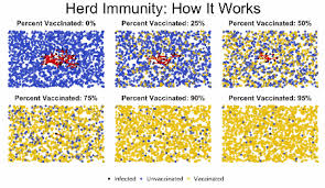The Amazing Power Of Vaccines Explained In 6 Seconds