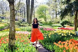 We did not find results for: Keukenhof 2016 Flowers Tulips The Netherlands Irenevanguin Blog Travel Hotspot Mustsee 8 1050x700 Anthurium Deutsch