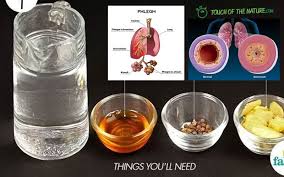 How To Get Rid Of Phlegm And Mucus In Chest Throat Instant Result Getting Rid Of Phlegm Cold Remedies Remedies