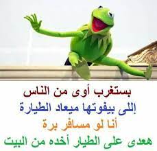 وممكن اسوق انا هههههههههههه funny comments funny jokes funny arabic quotes