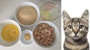 yas kedi mamasi nasil yapilir maalesef artik kedi beslemek eskiye gore biraz daha pahali bir olay olmaya basladi bu nedenle kedi sahi kedi yastiklar tarifler