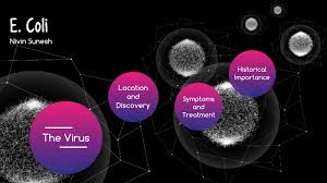 But you may become ill as soon as one day after exposure to more than a week later. E Coli By Nivin Sunesh