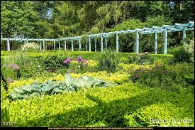 Iga 2017 Karl Foerster Garten Juni 2017 Iga2017 Blumiga Gartenderwelt Gardensoftheworld Marzahn Berlin Deutsch Instagram Instagram Posts Garden Arch