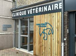 Clinique Vétérinaire des Augustins – Vétérinaire à La Bassée