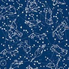 Colorful Fabrics Digitally Printed By Spoonflower Constellations Animal Stars Night Sky Constellations Astronomy Navy Blue Kids Room Cute Stars Constellati In 2021 Constellations Blue Kids Room Navy Blue Nursery