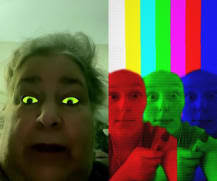 Laura Lee Robison Obituary (1956