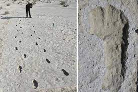 1 km = (1/1.609344) mi = 0.62137119 mi. The Longest Prehistoric Human Trail Ever Discovered It S 1 5 Kilometers Long Discovered In Nm In An Area Full Of Predators During The Ice Age The Footprints Belong To A Young Adult And