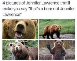 4 Pictures Of Jennifer Lawrence That Ll Make You Say That S A Bear Not Jennifer Lawrence Funny Meme Funny Funny Memes Amusing