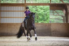 Carole Grant with Sally Silverman, Author at Dressage Today