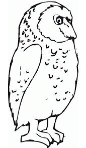 Coloring pages are fun for children of all ages and are a great educational tool that helps children develop fine motor skills, creativity and color recognition! Free Printable Owl Coloring Pages For Kids