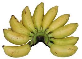 Pisang untuk membuat pisang goreng, namanya pisang raja (musa textilia) gambar:rizkysuperfresh.blogspot.com. Lendah Dua Puluh Jenis Pisang Konsumsi Dan Bernilai Ekonomi