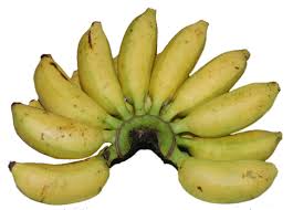 It is typically consumed as a snack in the morning and afternoon. Lendah Dua Puluh Jenis Pisang Konsumsi Dan Bernilai Ekonomi