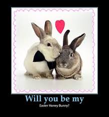 Funny Easter Pictures and Images via Relatably.com