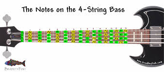 Grey kitchen ideas uke strings labeled on a bass. The Notes On The 4 String Bass Worksheet Bradley Fish
