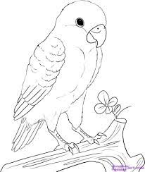 Pin On Coloring