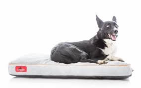 We did not find results for: What Are The Best Dog Beds For Crates Bark
