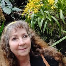 Where to find a cheap item like the one described?