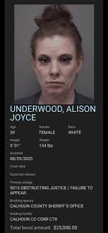 Alison Joyce Underwood 5015 Obstructing Justice