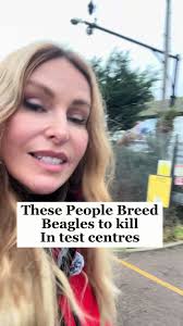 Nature Melodies with My Blue Wolf