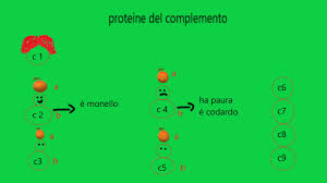 Test di wasserman (1906) per. Il Sistema Del Complemento La Via Classica Verde Per Medicina Youtube