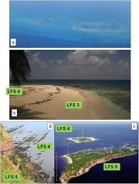 Bu anlamda mat lake, parlak lake, masif ahşap, suntalam, membran, mdf, doğal ahşap kaplama gibi farklı malzeme seçeneklerinin kullanıldığı kapakların her biri farklı bir mdf üzerine doğal kaplama, lake kaplama gibi işlemler uygulanarak kalitenin yanına estetik unsurlar da kolayca eklenebilmektedir. From The Strand Plain To The Reef A Sedimentological Geomorphological Study Of A Holocene Coast Affected By Mud Diapirism Archipelago Rosario Baru Colombia Sciencedirect