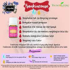 Manfaat Young Living Frankincense Jualyounglivingjakarta Youngliving Jualyounglivingtangerang Jualyoung Campuran Minyak Esensial Minyak Esensial Relaksasi