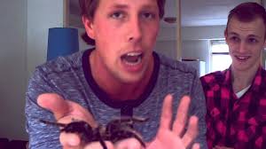 Hij studeerde biologie aan de universiteit leiden en specialiseerde zich in de evolutiebiologie van reptielen. Levensechte Spin Met Freek Vonk Youtube