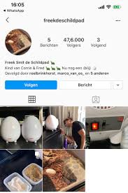 Kees is letterlijk & figuurlijk de grootste held die ik in m'n leven ontmoet heb. Ruud Ten Wolde On Twitter Het Ei Van De Schildpad Van Bas Smit En Nicolette Van Dam Heeft Meer Dan 47 000 Volgers Op Instagram Ja Je Leest Het Goed Een Ei Https T Co Fbp4rqrbbe